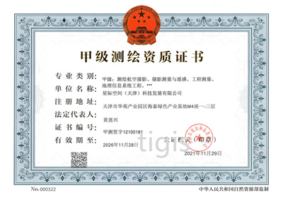 �������֤�飨�Ǽʹ�˾�� �׼�