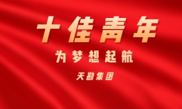 ���޷ɡ���ϣ��Ϸ����ʮ������